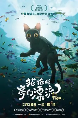 猫猫的奇幻漂流 海报