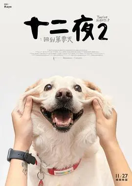 《十二夜2：回到第零天》：直击心灵的流浪动物生存实录，我们还能做些什么？