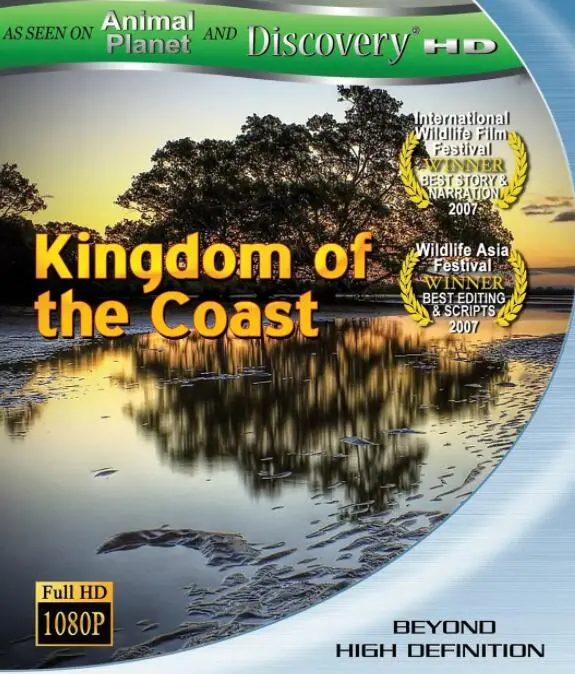 《动物星球之海岸王国》：绝美海岸风光，震撼生物奇观，一场视觉盛宴，探索生命的无限可能！