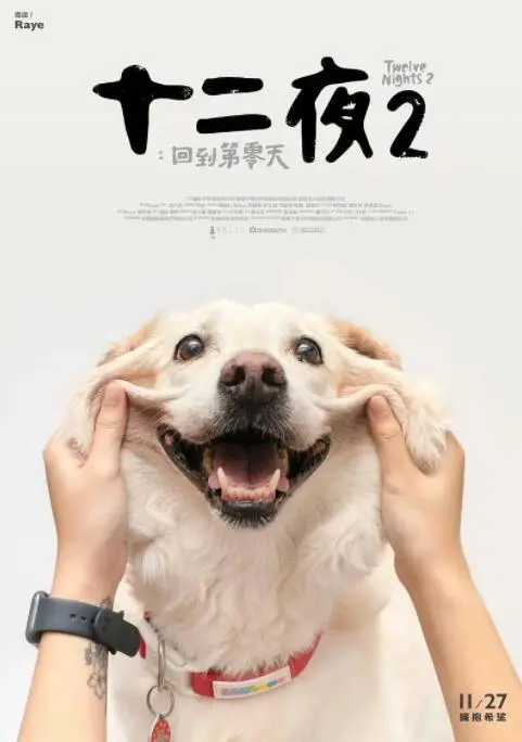 《十二夜2：回到第零天》影评：眼泪与希望交织，治愈生命残酷的轮回